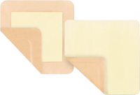 BX/10 - Derma Sciences Xtrasorb™ Non-Adhesive Foam Dressing, 2" x 2" - Best Buy Medical Supplies