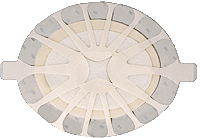 CA/15 - 3M Tegaderm™ High Performance Adhesive Foam Dressing 8-3/4" x 7-1/2" Large Oval - Best Buy Medical Supplies