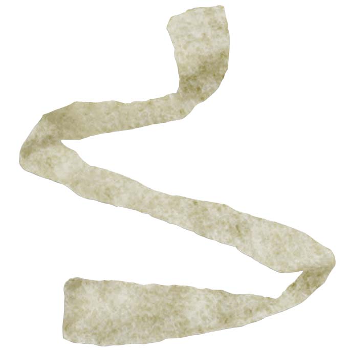EA/1 - Derma Sciences Algicell® Silver Alginate Wound Dressing, 3/4" x 12" Rope - Best Buy Medical Supplies