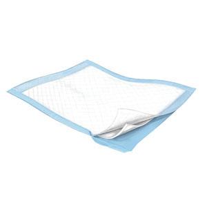 CA/200 - Cardinal Health, Underpads, Wings™ Basic, 23" x 24" - Best Buy Medical Supplies