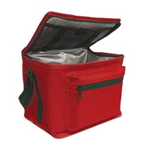 EA/1 - Hopkins Medical Products Premium Insulated Bio Transport Cooler, 9" x 7" x 5 1/2", Adjustable Handle - Best Buy Medical Supplies