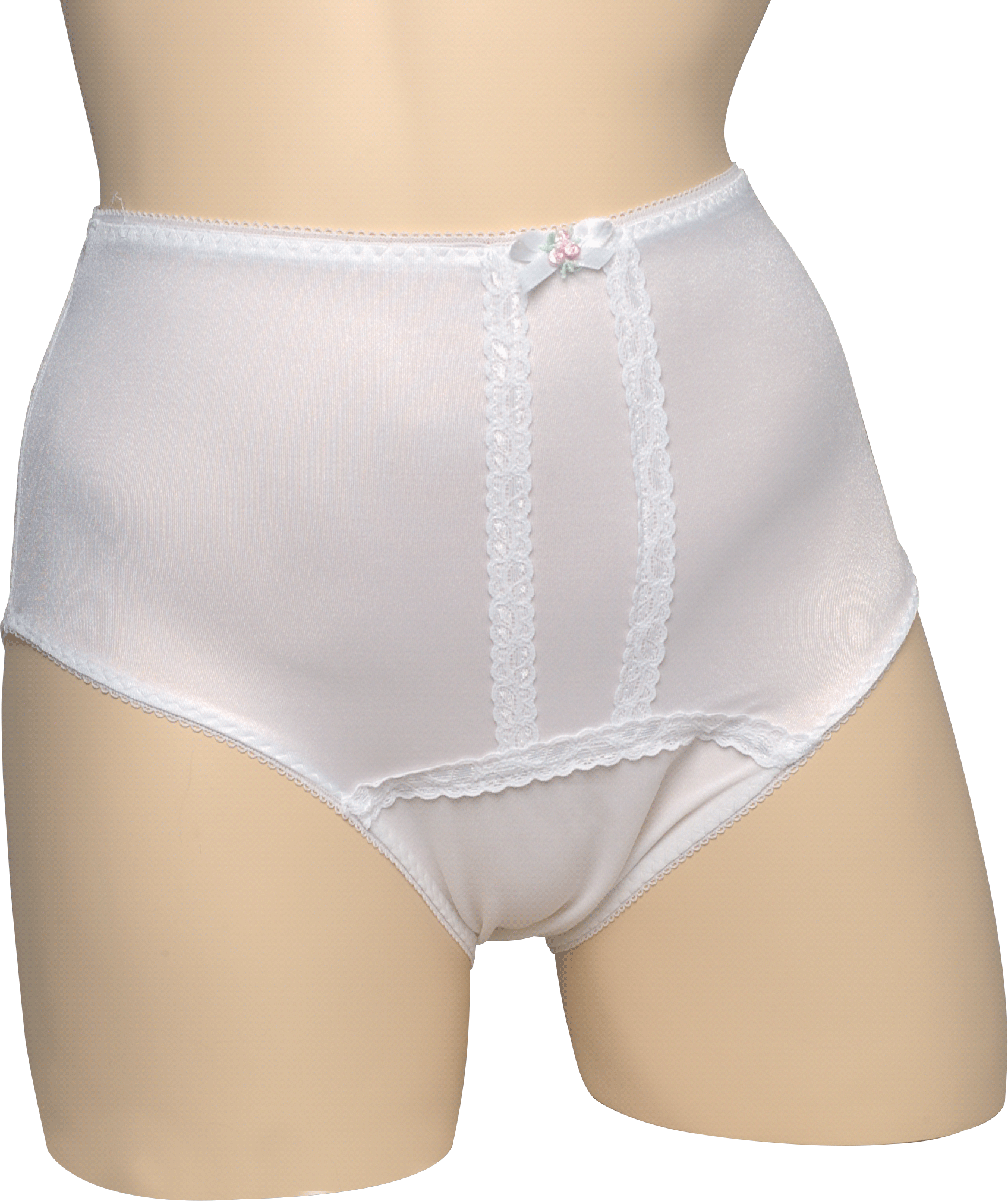 EA/1 - Salk Premier Plus&trade; Ladies Panty Large, 38" to 44" Waist Size, Nylon/Lycra Stretch Fabric - Best Buy Medical Supplies